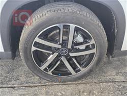 بي واي دي سونغ L DM-i